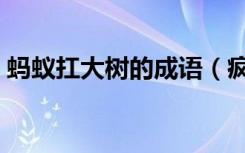 蚂蚁扛大树的成语（疯狂猜成语蚂蚁扛树枝）