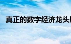 真正的数字经济龙头股（数字经济龙头股）