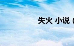 失火 小说（着火小说）