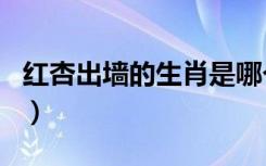 红杏出墙的生肖是哪个（红杏出墙是什么生肖）