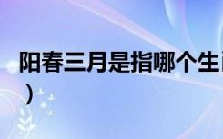 阳春三月是指哪个生肖（阳春三月指什么生肖）