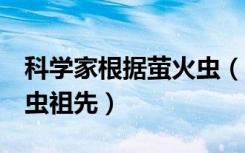 科学家根据萤火虫（科学家发现1亿年前萤火虫祖先）