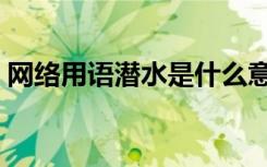 网络用语潜水是什么意思（潜水是什么意思）