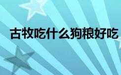 古牧吃什么狗粮好吃（古牧吃什么狗粮好）