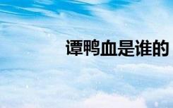 谭鸭血是谁的（谭鸭血道歉）
