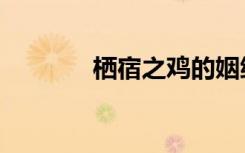 栖宿之鸡的姻缘（栖宿之鸡）