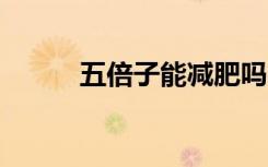 五倍子能减肥吗（5倍瘦有用吗）