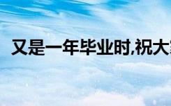 又是一年毕业时,祝大家（又是一年毕业时）