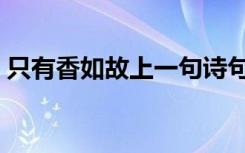 只有香如故上一句诗句是什么（只有香如故）