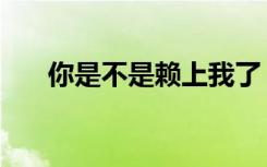 你是不是赖上我了（不是故意赖上你）