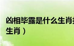 凶相毕露是什么生肖打一肖（凶相毕露是什么生肖）