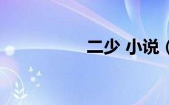 二少 小说（极品二少）