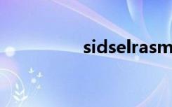 sidselrasmussen的ins