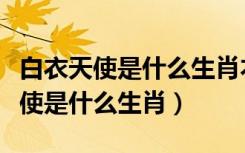 白衣天使是什么生肖本期出码三六九（白衣天使是什么生肖）