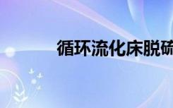 循环流化床脱硫（循环流化床）