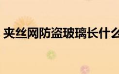 夹丝网防盗玻璃长什么样（夹丝网防盗玻璃）