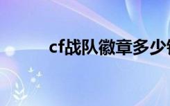 cf战队徽章多少钱（cf战队徽章）
