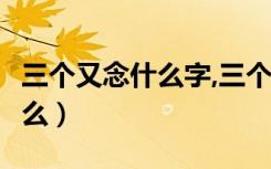 三个又念什么字,三个又念叒ruo（三个又念什么）