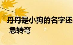 丹丹是小狗的名字还是小老虎的名字,为什么? 急转弯