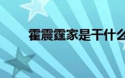 霍震霆家是干什么的（霍震霆家族）
