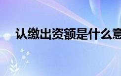 认缴出资额是什么意思（额是什么意思）