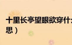 十里长亭望眼欲穿什么意思（望眼欲穿什么意思）