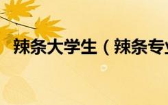辣条大学生（辣条专业班学生开发辣条粽）