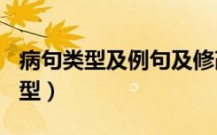 病句类型及例句及修改100句及答案（病句类型）
