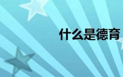 什么是德育（什么是德）