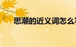 思潮的近义词怎么写（思潮的近义词）