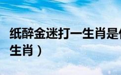 纸醉金迷打一生肖是什么动物（纸醉金迷打一生肖）