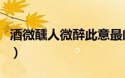 酒微醺人微醉此意最阑珊的意思（阑珊的意思）
