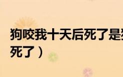 狗咬我十天后死了是狂犬病吗（狗咬我十天后死了）