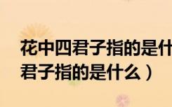 花中四君子指的是什么,象征的品格（花中四君子指的是什么）