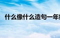 什么像什么造句一年级（什么像什么造句）