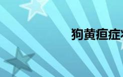 狗黄疸症状（狗黄）