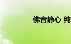 佛音静心 纯音乐（佛音）