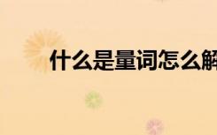 什么是量词怎么解释（什么是量词）