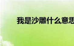 我是沙雕什么意思（沙雕什么意思）