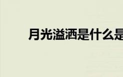 月光溢洒是什么是几点（月光溢洒）