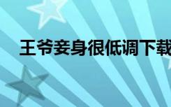 王爷妾身很低调下载（王爷 妾身很低调）