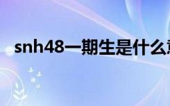 snh48一期生是什么意思（snh48一期生）
