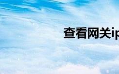 查看网关ip（网关ip）
