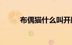 布偶猫什么叫开脸（什么叫开脸）