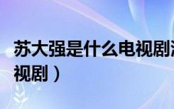 苏大强是什么电视剧演员表（苏大强是什么电视剧）