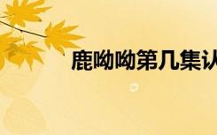 鹿呦呦第几集认爸爸（鹿呦呦）