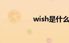 wish是什么意思（wis）
