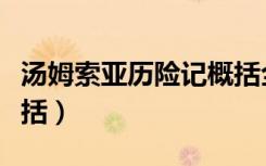 汤姆索亚历险记概括全文（汤姆索亚历险记概括）