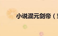 小说混元剑帝（穿越之混元剑圣）