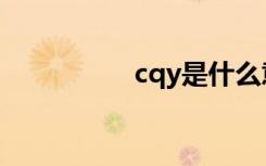 cqy是什么意思（cqy）